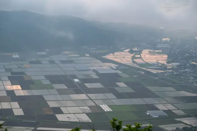 谷あいに広がる水田（高台から）